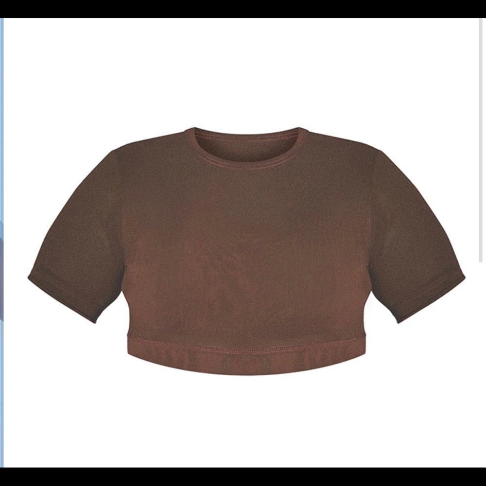 Mesh brown crop top